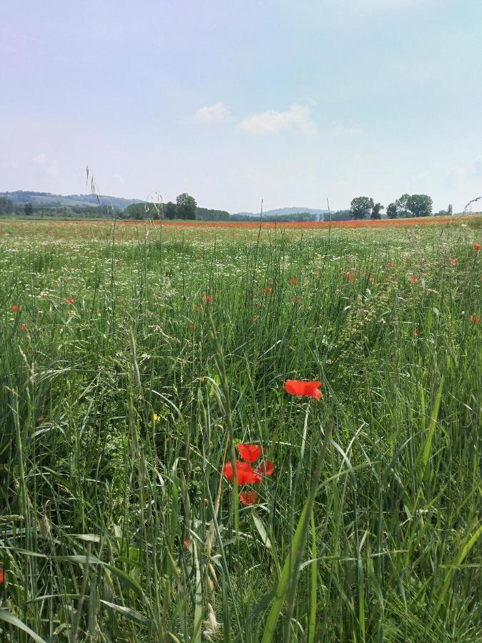 Bio Agriturismo Pratini Monte Lopio Eksteriør billede