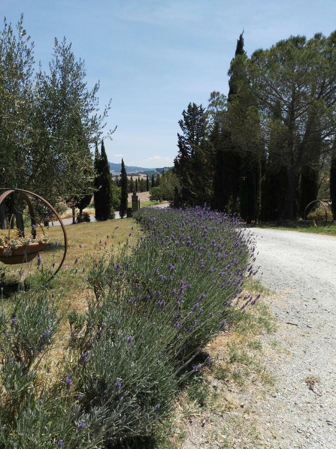 Bio Agriturismo Pratini Monte Lopio Eksteriør billede